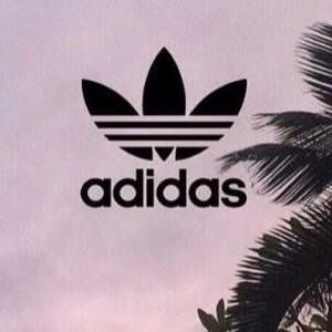 Meet your Posher, Shaina